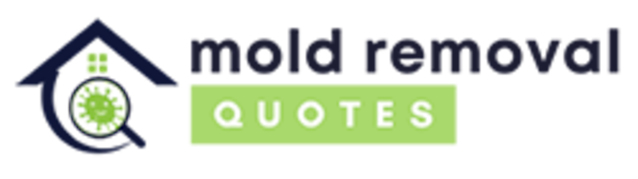 mold remediation brooksville